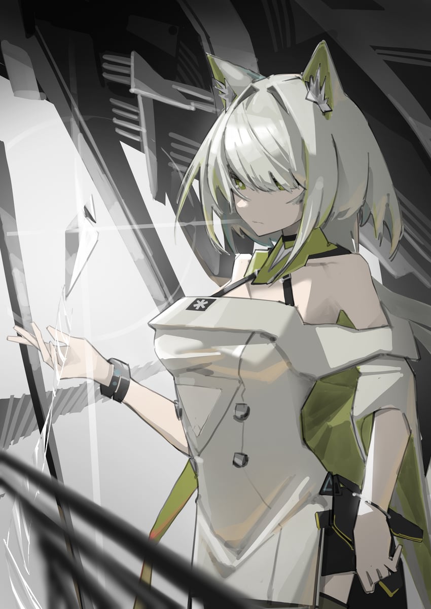 明日方舟、凯尔希 (明日方舟)、凯尔希·艾斯帕兰塔 (明日方舟) 1名女孩 兽耳 露肩 猫耳 猫娘