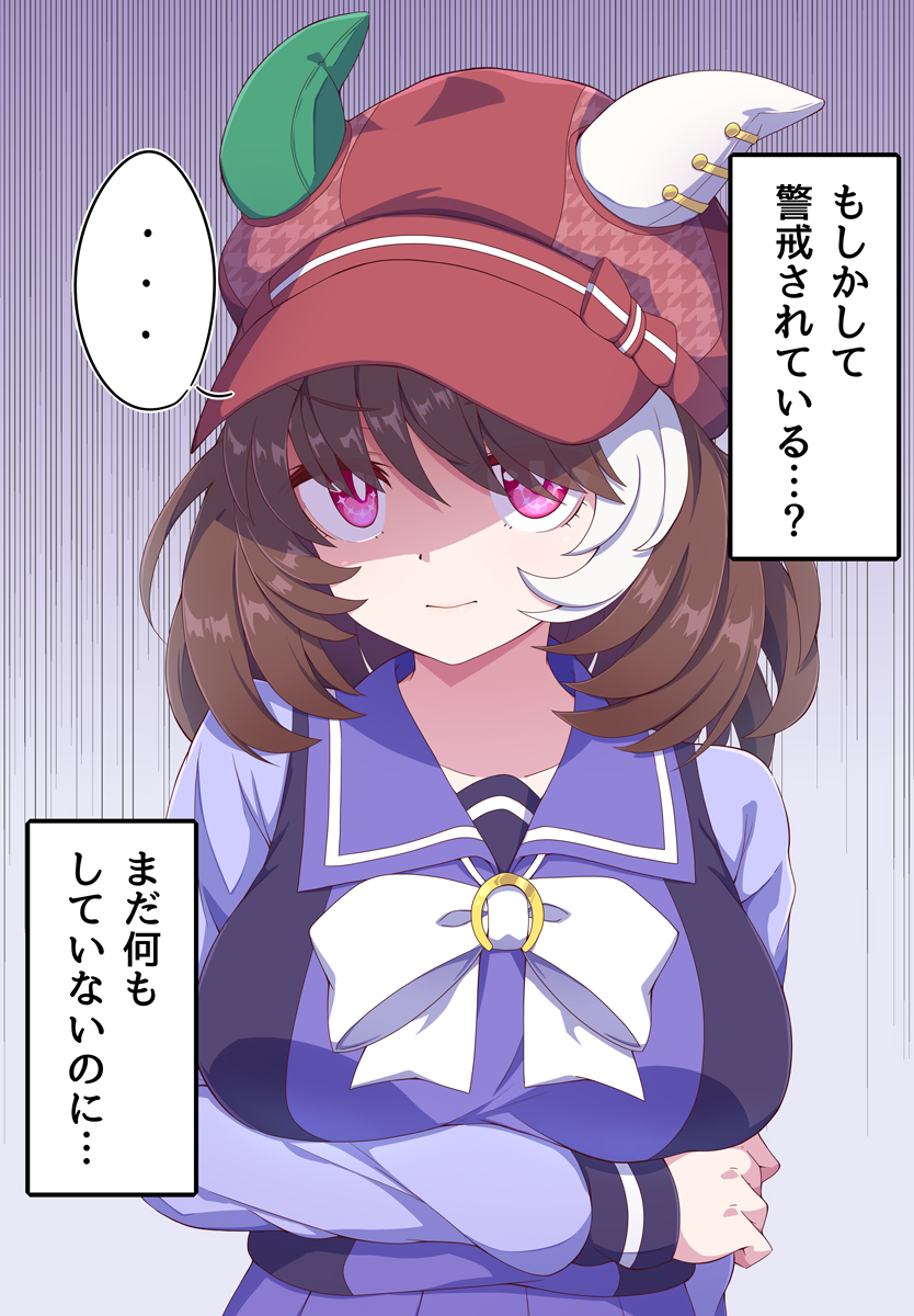 赛马娘、洛林进行曲 (赛马娘) ... 1名女孩 乳房 棕发 耳罩