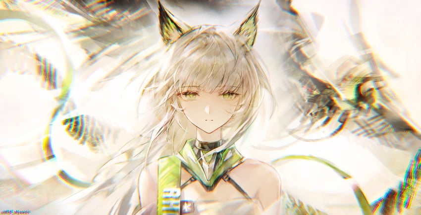 明日方舟、凯尔希 (明日方舟)、凯尔希·艾斯帕兰塔 (明日方舟) 1名女孩 兽耳毛 兽耳 露肩 猫耳