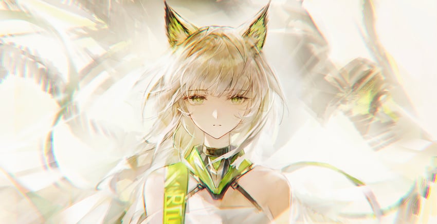 明日方舟、凯尔希 (明日方舟)、凯尔希·艾斯帕兰塔 (明日方舟) 1名女孩 兽耳毛 兽耳 露肩 猫耳