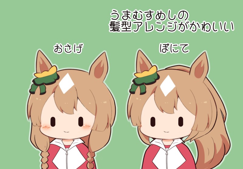 赛马娘、里见光钻 (赛马娘) 1名女孩 兽耳 辫子 棕发 Q版