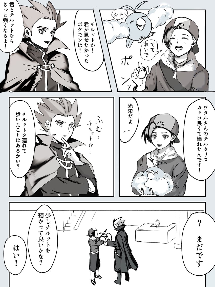 宝可梦、宝可梦 心金/魂银、响 (宝可梦) 2个男孩 问号 动物 反戴帽子 包