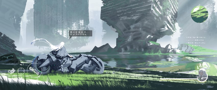 原创、Iz (asteroid_ill) 1名女孩 鸟 黑色连衣裙 黑色斗篷 汽车
