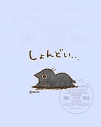 二次元插画 #11476321