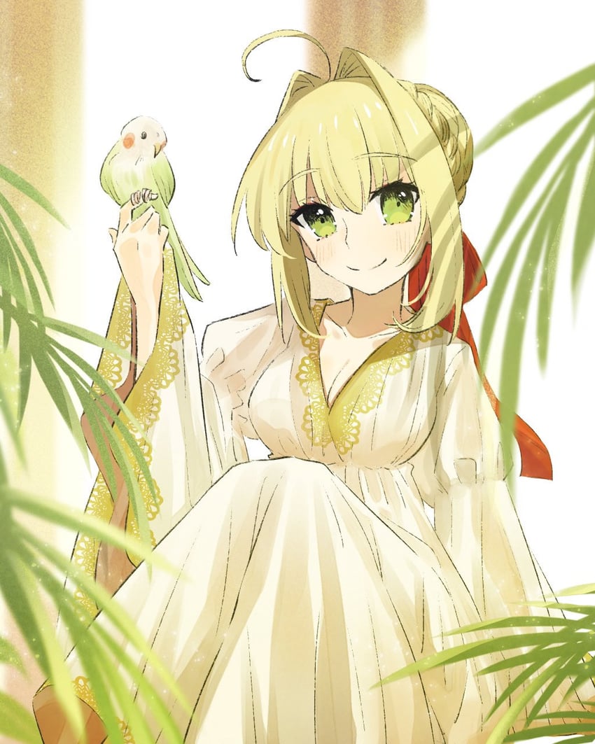 Fate系列、尼禄·克劳狄乌斯 (Fate) 1名女孩 呆毛 鸟 鸟在手上 脸红