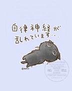 二次元插画 #11476516
