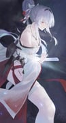 二次元插画 #11479148