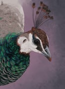 二次元插画 #11480462