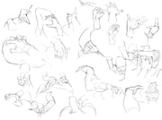 二次元插画 #11480516