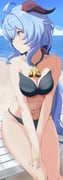 二次元插画 #11481166