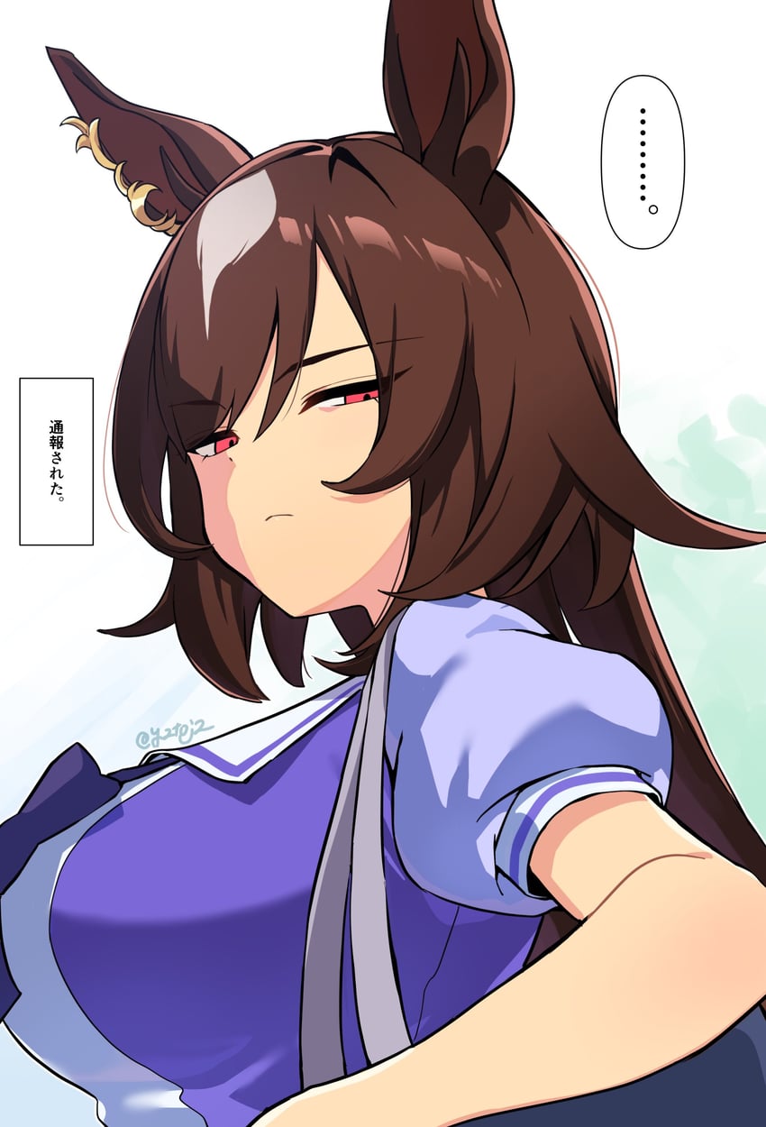 赛马娘、天狼星象征(赛马娘) ... 1名女孩 兽耳 乳房 棕发