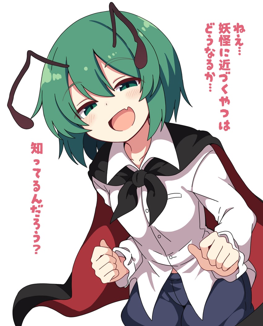 东方Project、莉格露·奈特巴格 1名女孩 :D 赛璐珞上色 触角 黑色披肩