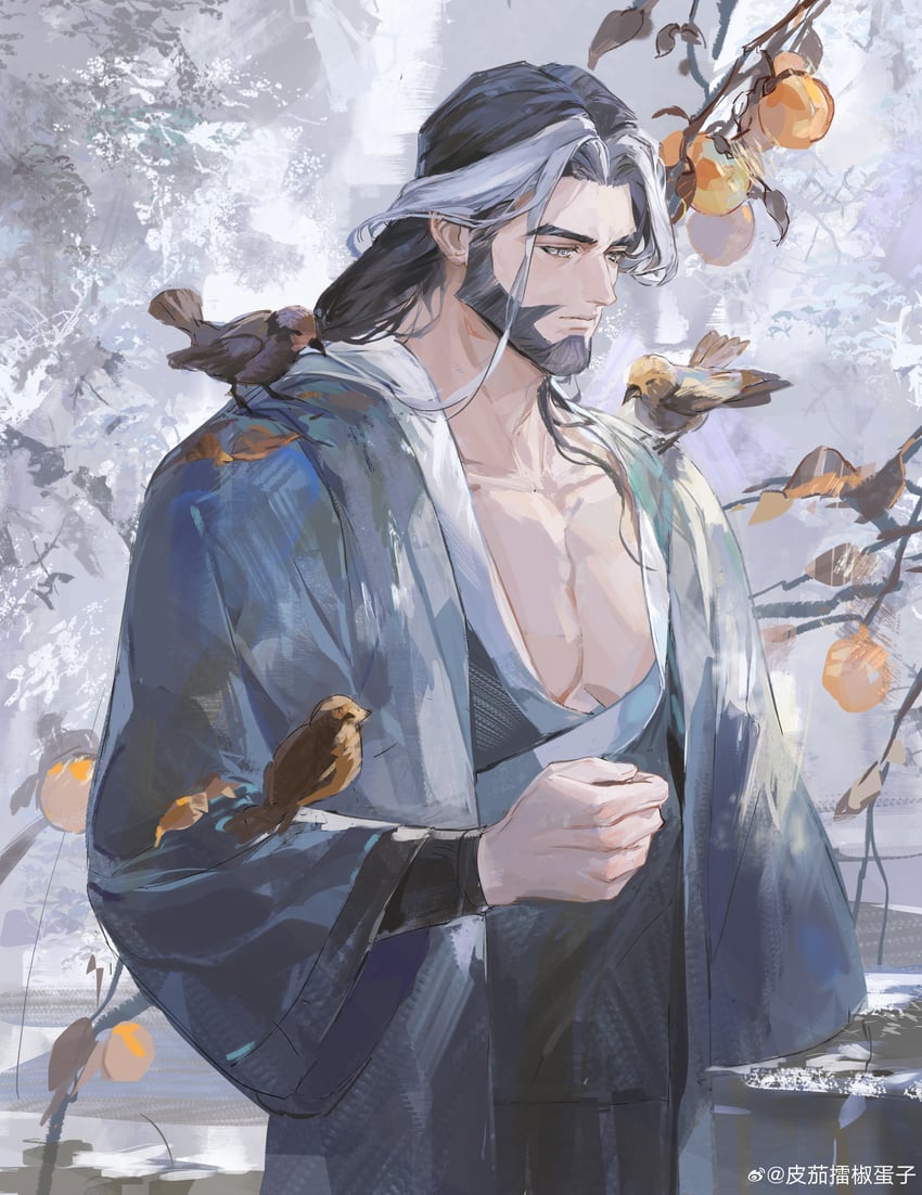 罗小黑战记、dashong (the legend of luoxiaohei) 1名男孩 蔷薇 胡子 鸟 黑发