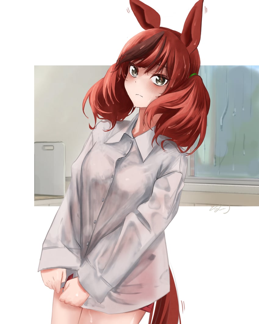 赛马娘、优秀素质 (赛马娘) 1名女孩 兽耳 脸红 棕眼睛 棕发