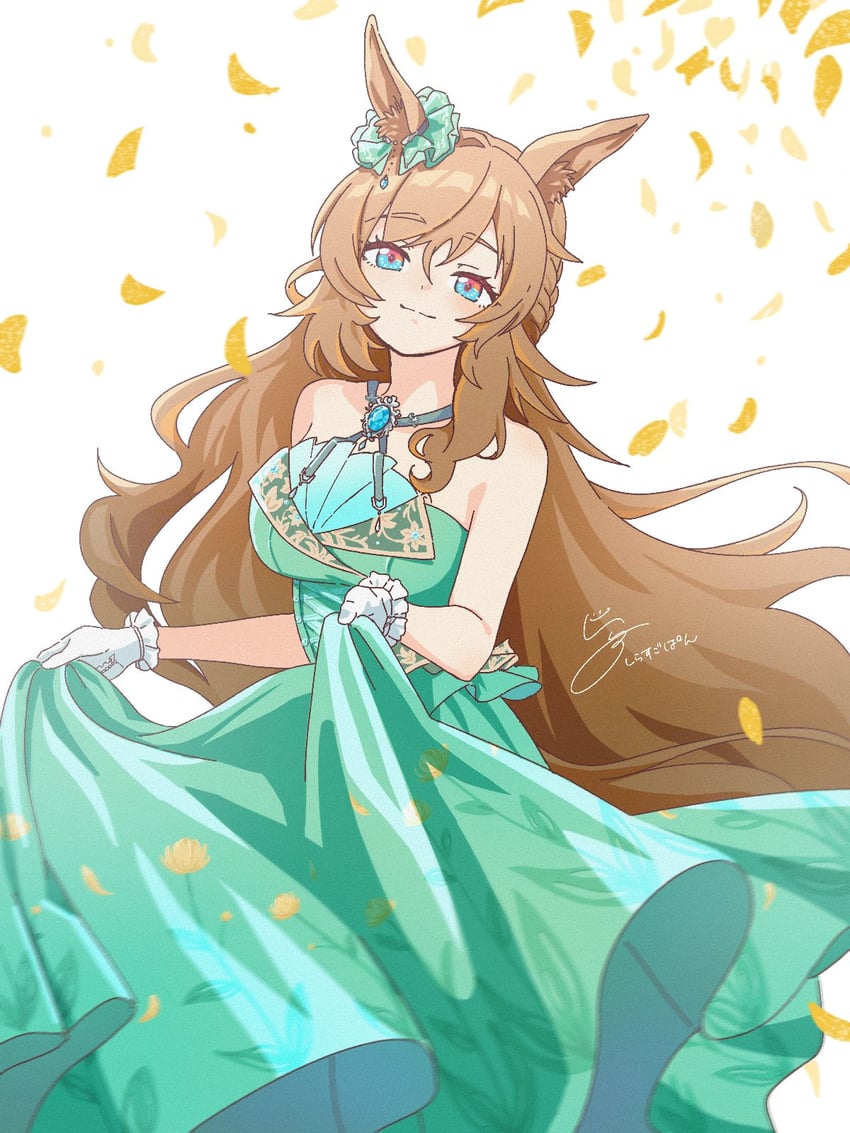 赛马娘 1名女孩 替换服装 兽耳 乳房 棕发