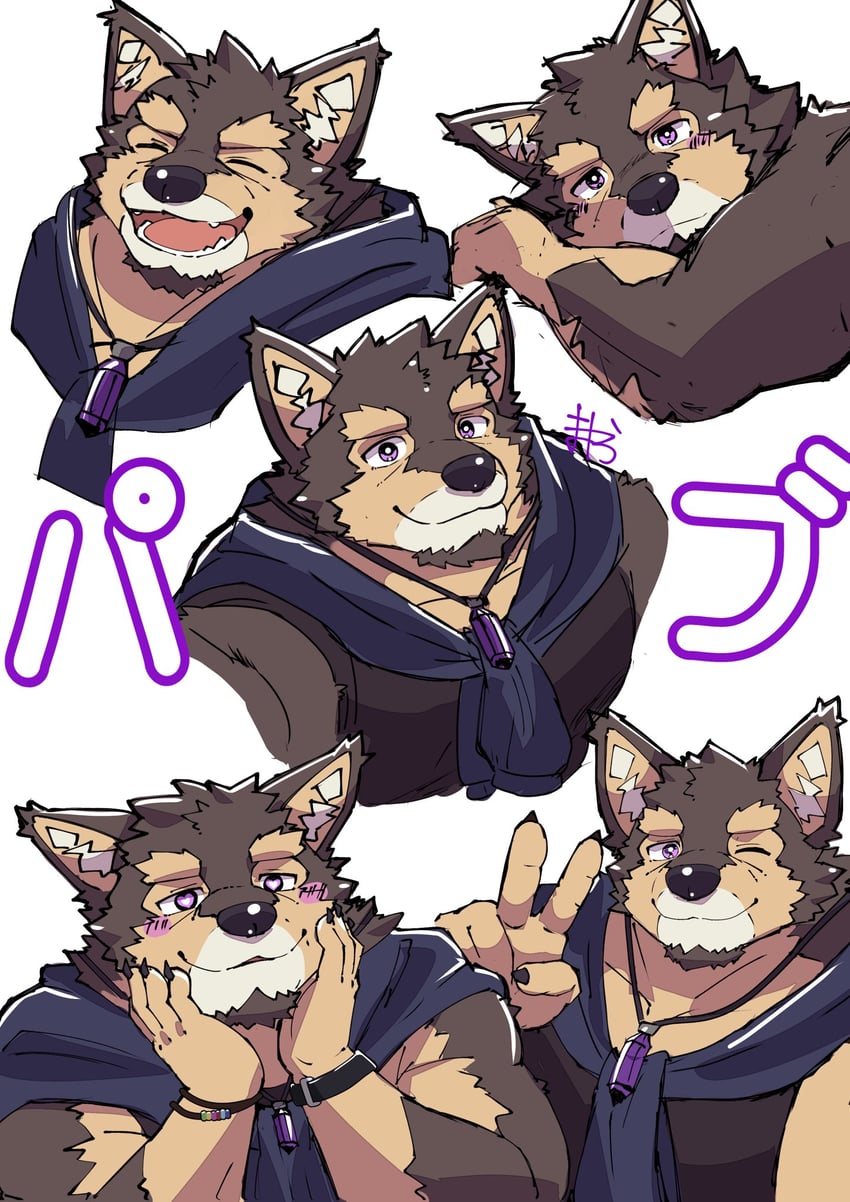 Live A Hero、帕布拉希尔 (Live A Hero) 1名男孩 兽耳 黑衬衫 黑色背心 脸红