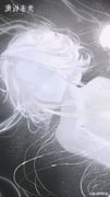 二次元插画 #11488961