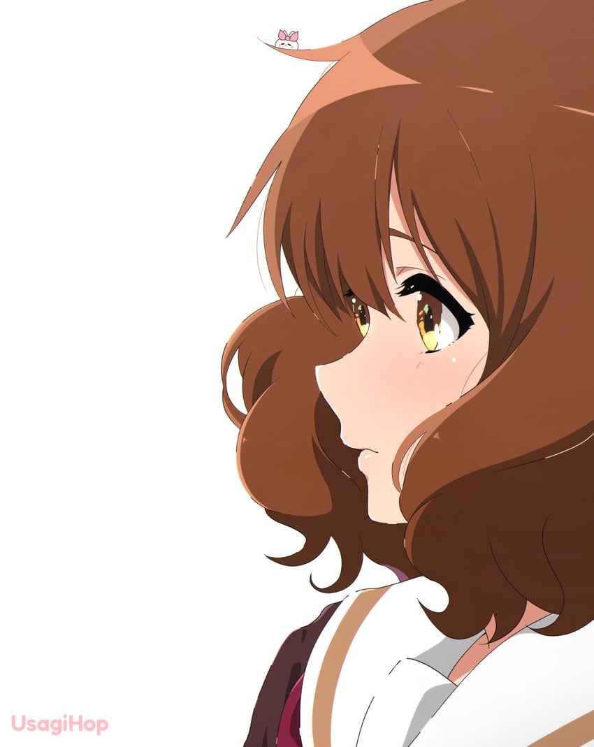 吹响吧！上低音号、黄前久美子 1名女孩 作者名 棕色开襟衫 棕眼睛 棕发
