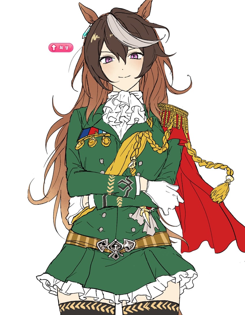 赛马娘、鲁道夫象征 (皇帝之路) (赛马娘)、鲁道夫象征 (赛马娘) 1名女孩 饰绪 兽耳 阿斯科特领巾 棕发