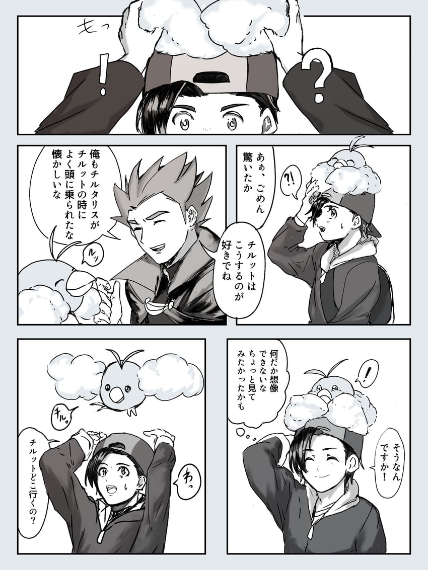 宝可梦、宝可梦 心金/魂银、响 (宝可梦) ! !? 2个男孩 问号 微笑