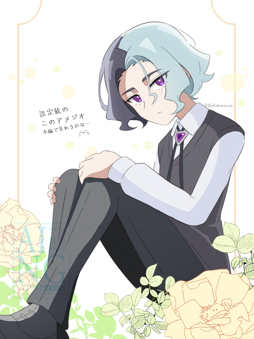 宝可梦、精灵宝可梦 (动画)、宝可梦：地平线 1名男孩 亮瞳 闭嘴 有领衬衫 花