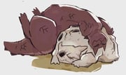 二次元插画 #11494379