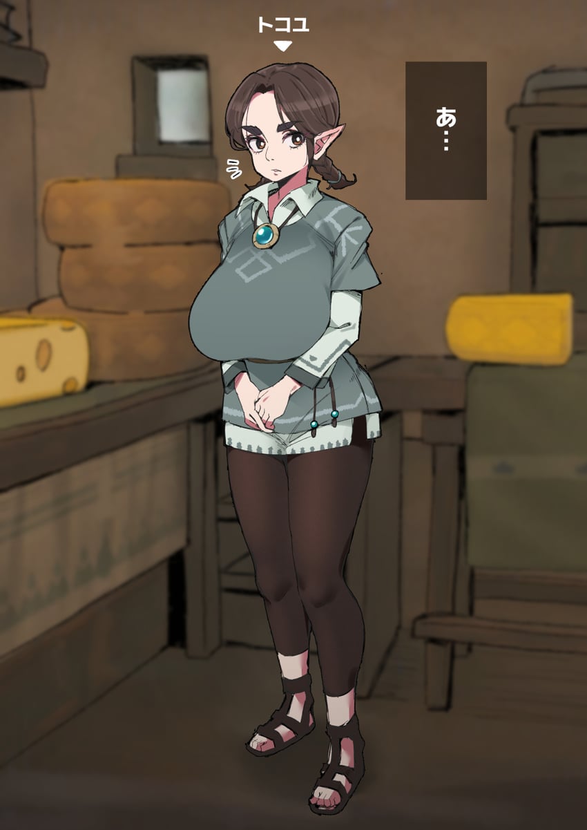 塞尔达传说、塞尔达传说：王国之泪 1名女孩 异形乳量 (大) 辫子 乳房 棕发