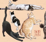 二次元插画 #11497522