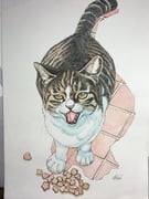 二次元插画 #11498058