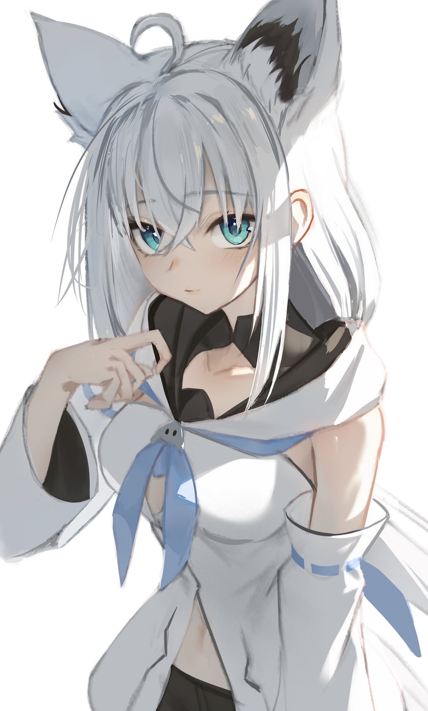 Hololive、白上吹雪、白上吹雪 (第一套服装) 1名女孩 呆毛 兽耳 水色瞳 黑色短裤