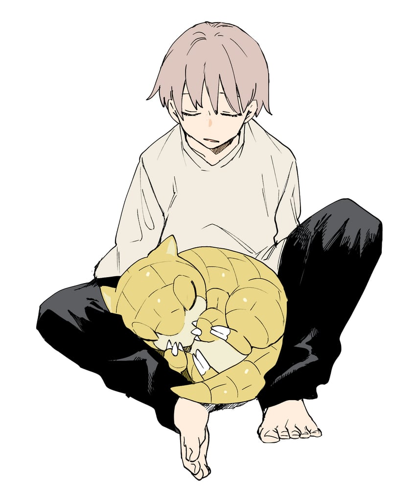 宝可梦、穿山鼠 1名男孩 赤脚 黑裤子 闭眼 蜷缩