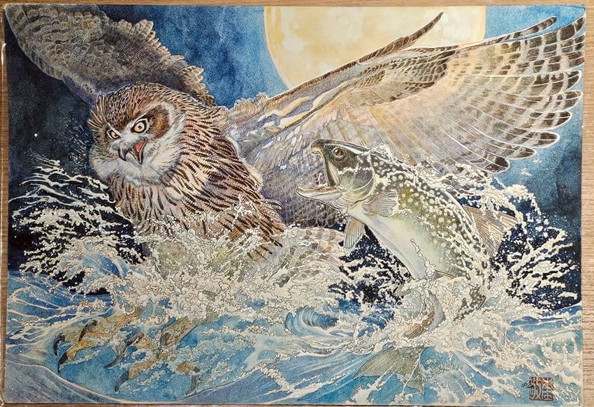 原创 动物焦点 鸟 blakiston's fish owl char (fish) 鱼