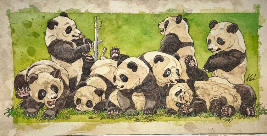 原创 动物焦点 树枝 摔倒 草地 手持