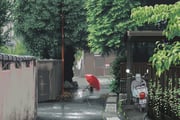 二次元插画 #11501713
