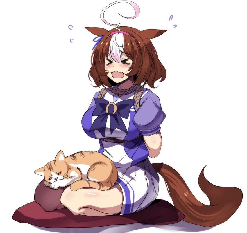 赛马娘、名将怒涛 (赛马娘)、Meto (猫) 1名女孩 闭眼挤眼 呆毛 动物 兽耳