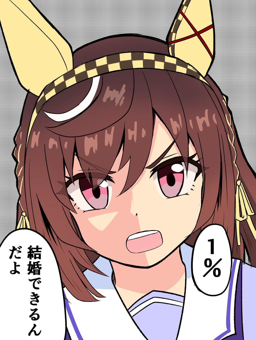 赛马娘、迷人景致 (赛马娘) 兽耳 棕发 方格发带 特写 耳罩