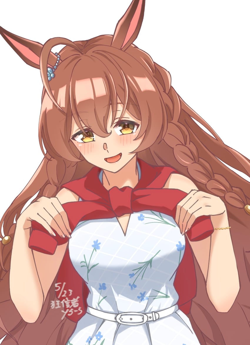 赛马娘、目白光明 (赛马娘) 1名女孩 呆毛 替换服装 兽耳 辫子