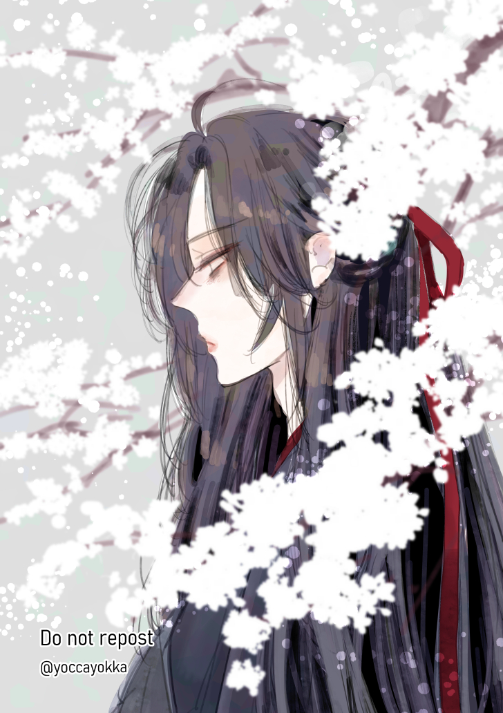 魔道祖师、魏无羡、魏无羡 (夷陵老祖) 1名男孩 呆毛 中性 黑发 黑色汉服