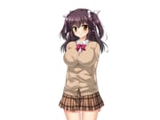 二次元插画 #11507557