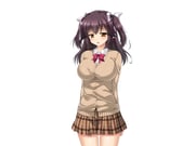 二次元插画 #11507767