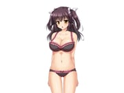 二次元插画 #11507920