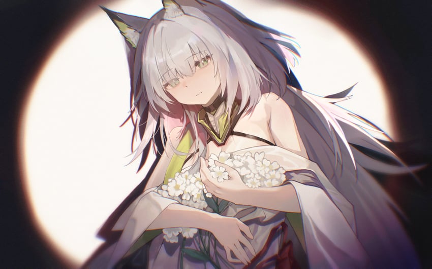 明日方舟、凯尔希 (明日方舟)、凯尔希·艾斯帕兰塔 (明日方舟) 1名女孩 呆滞脸 兽耳毛 兽耳 露肩