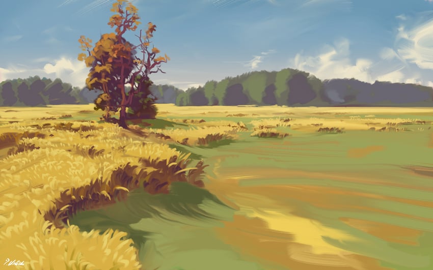 原创 蓝天 云 白天 原野 森林