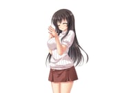 二次元插画 #11511326