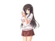 二次元插画 #11511360