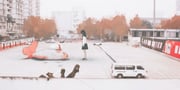 二次元插画 #11512928