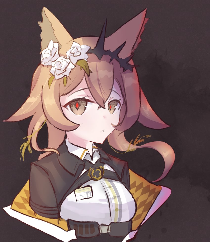 明日方舟、万顷 (明日方舟) 1名女孩 兽耳 腰带 黑色连衣裙 黑色王冠