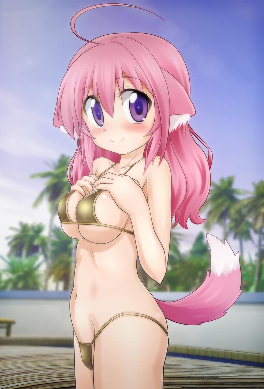 Dog Days、米希奥蕾·F·比斯科迪 1名女孩 惊讶 兽耳毛 兽耳 比基尼