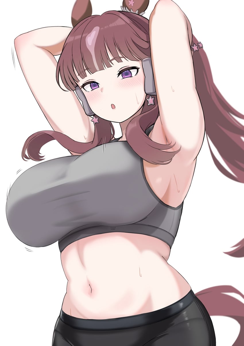 赛马娘、幸运丁香 (赛马娘) 1名女孩 兽耳 脸红 乳房 棕发