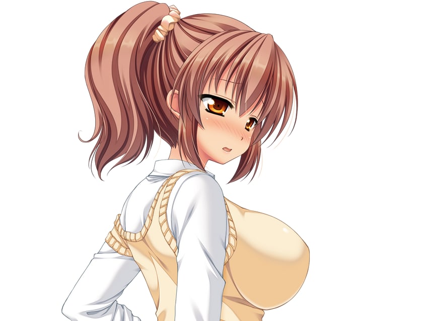 梦见颊！、toriumi hinata 1名女孩 脸红 乳房 棕发 有领衬衫
